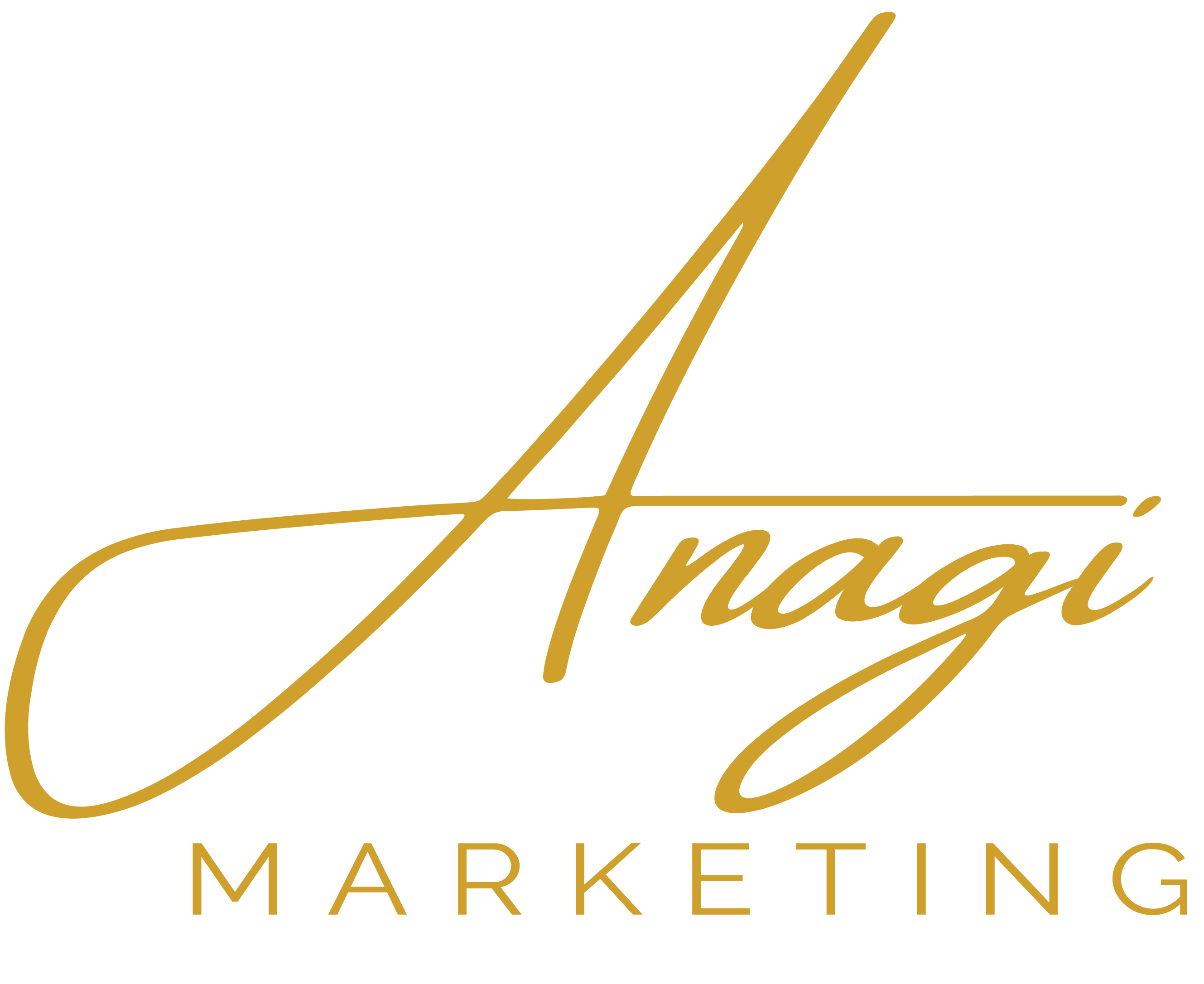 Front Page - Anagi Marketing